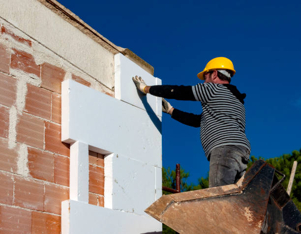 Best Specialized Insulation Services in Bovina, TX
