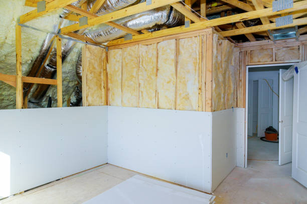 Best Eco-Friendly Insulation in Bovina, TX