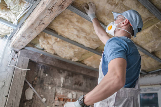 Types of Insulation We Offer in Bovina, TX