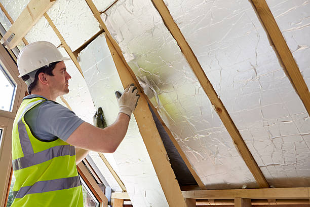 Professional Insulation Contractor in Bovina, TX