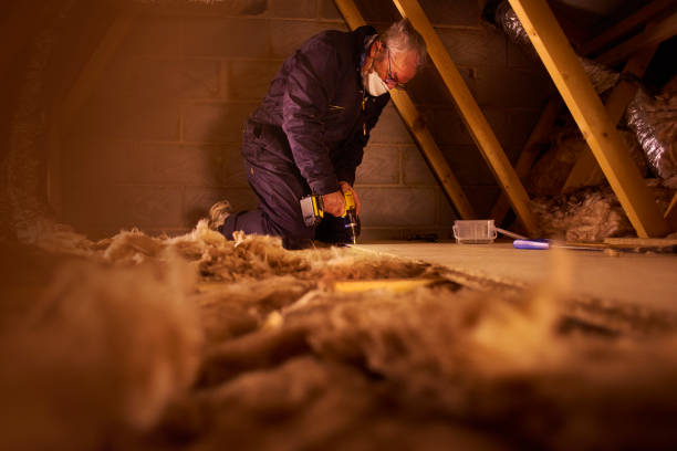 Best Spray Foam Insulation in Bovina, TX