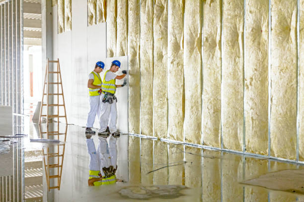 Best Residential Insulation in Bovina, TX